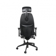 Siège ergonomique Positiv Plus - Ergonomie au travail